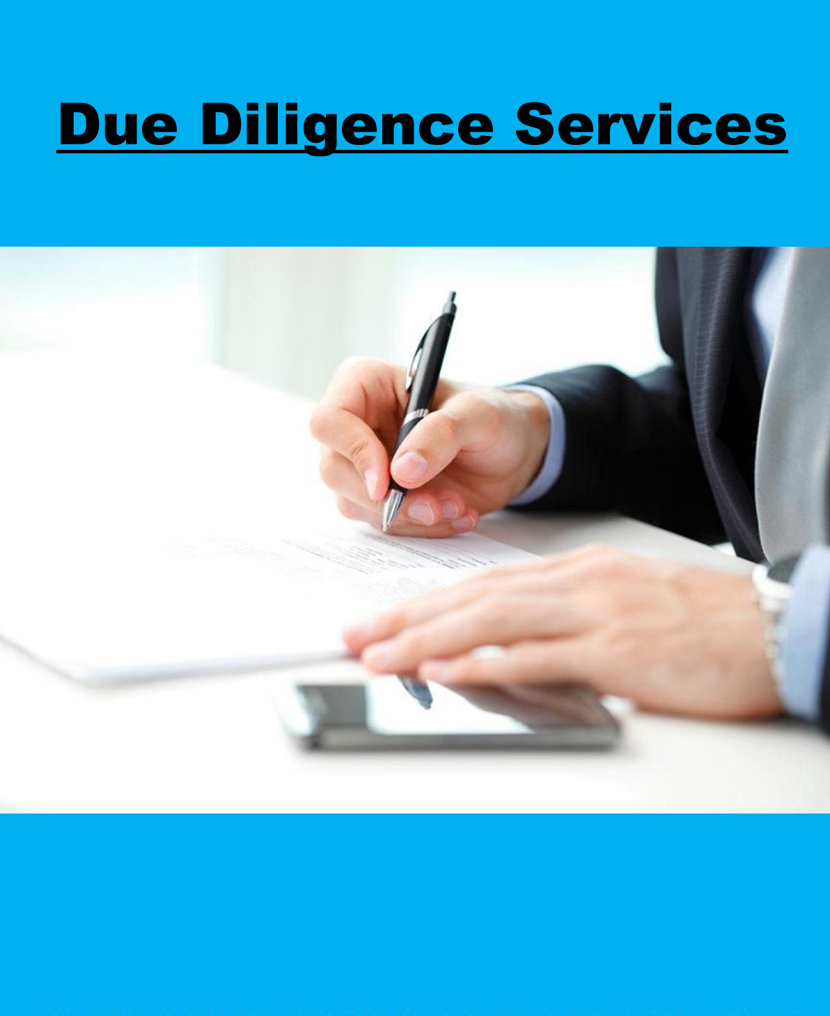 Due Diligence Services